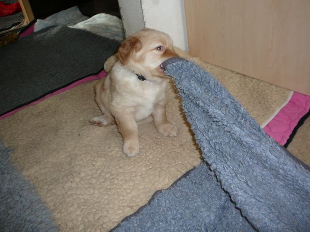 Böse Decke